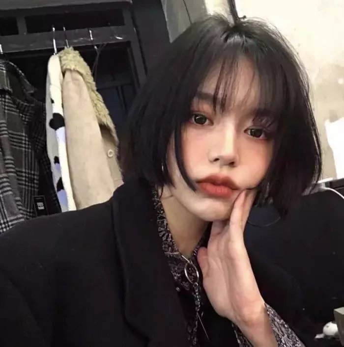 戴帽子的猫 在线观看